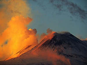 IMG_2244