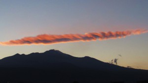 Etna rosa 