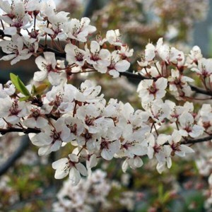 IMG_20250929_140653