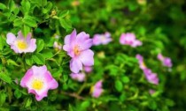 IMG_20250929_140701