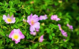 IMG_20250929_140701