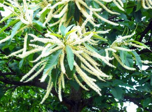 Screenshot_2026-02-02-21-40-27-993_com.miui.gallery-edit