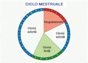 ciclo-mestruale 1
