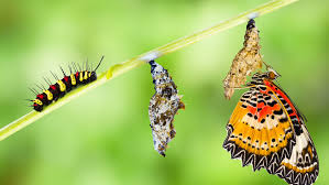 images (3)