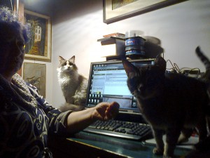 La scrittrice e la sua gatta